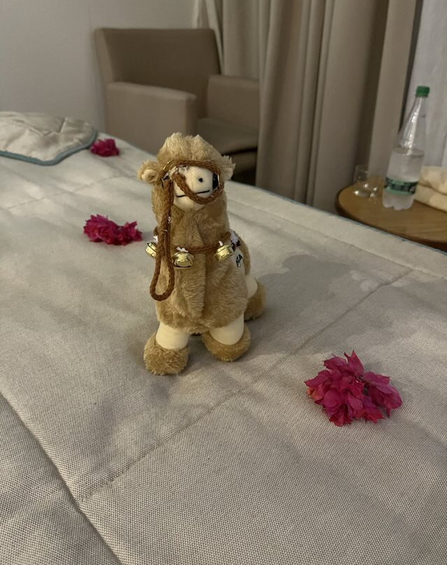 TUI Blue Scheherazade主图