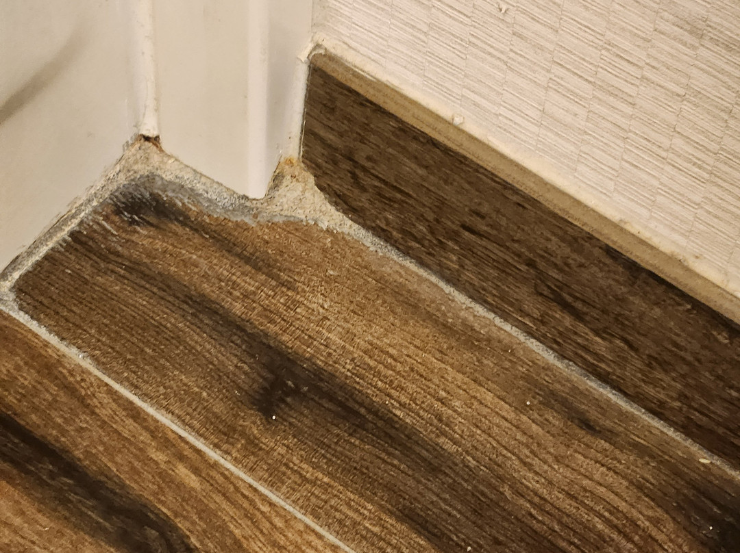 Hampton Inn Brooksville Dade City主图