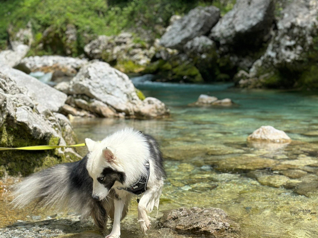 Tolmin Gorge景点图片