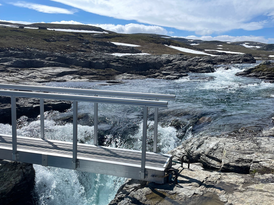Hardangervidda Nasjonalpar景点图片