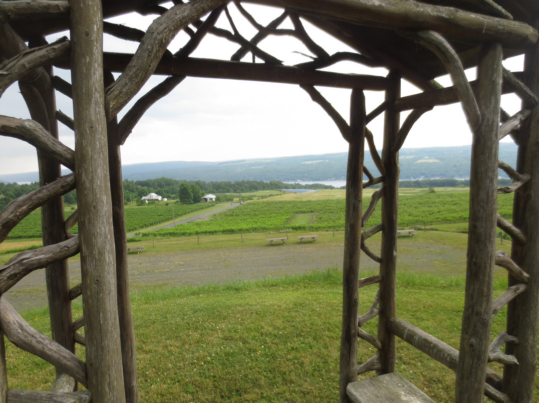 Heron Hill Winery景点图片