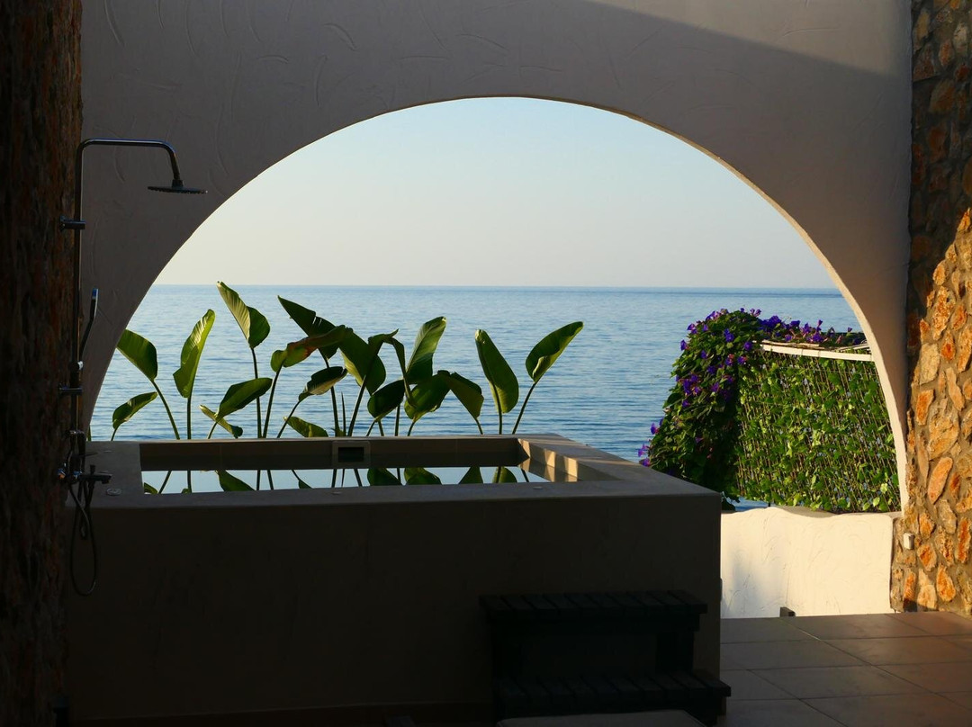 Stegna酒店住宿-Delfini Beach Suites