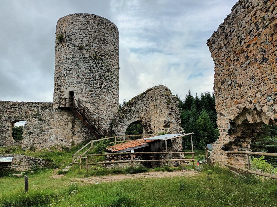 Château d'Urfé景点图片