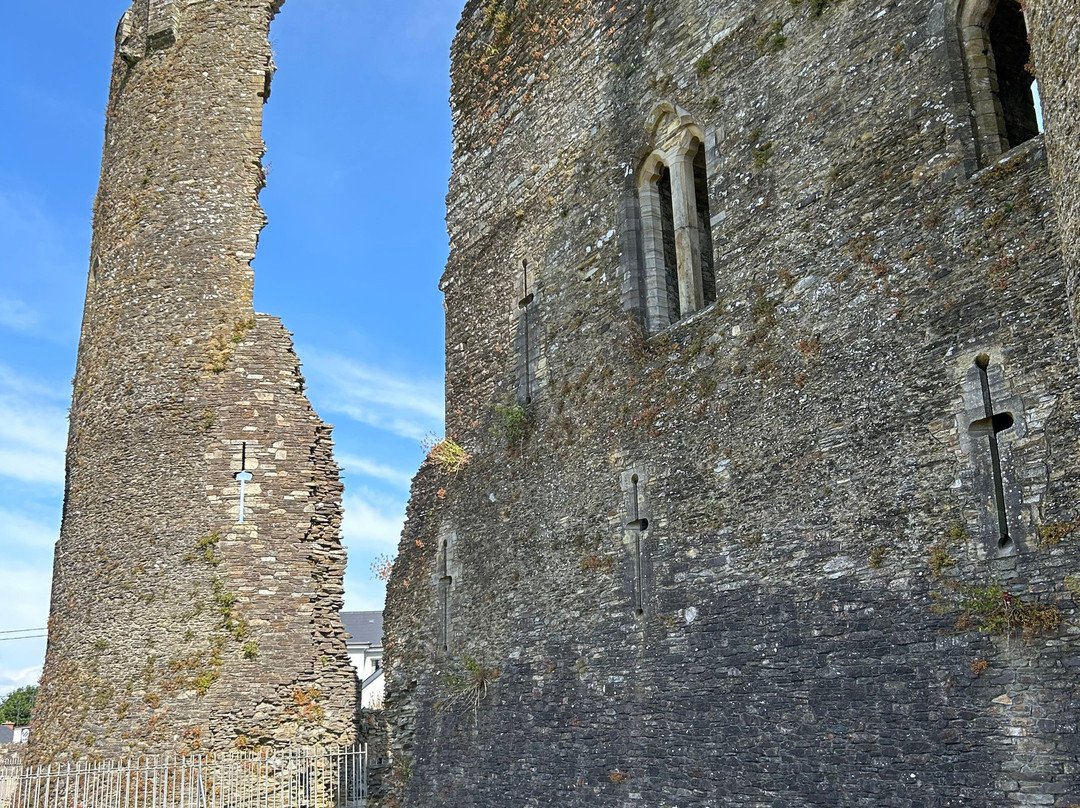 Ferns Castle-Ferns必去景点