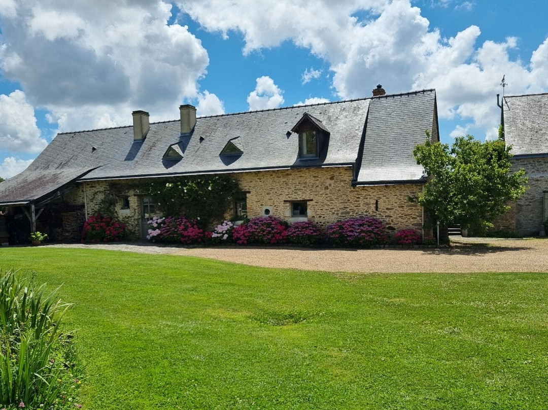 Le Grand Mainguet主图