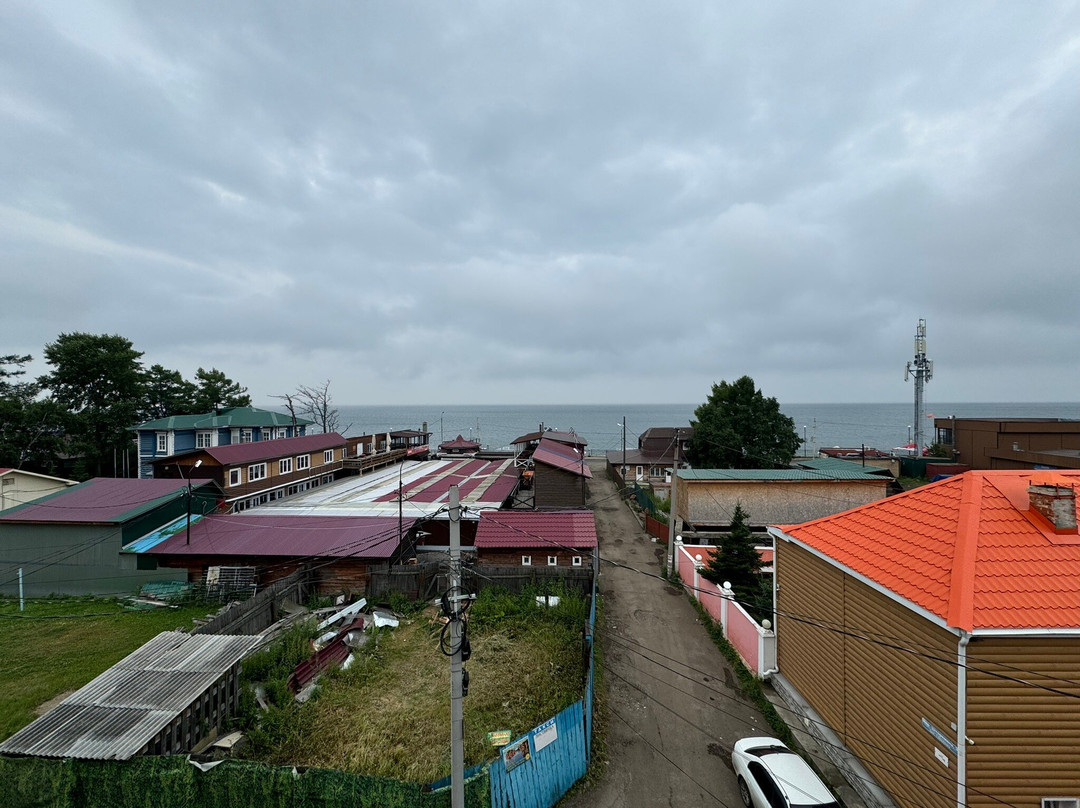 Baikal Cedar主图