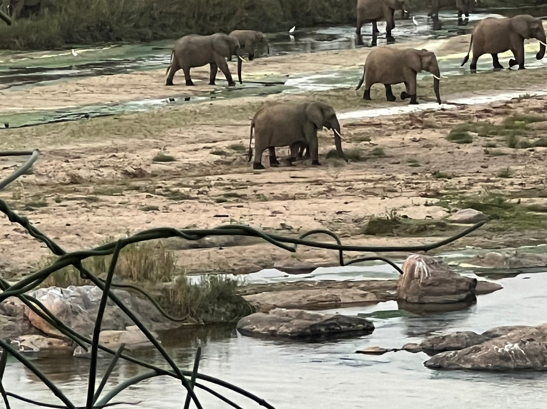 Pan African Lodge & Safari主图