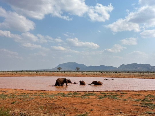 TrotAfrica Eco-Safaris Limited-蒙巴萨必去景点