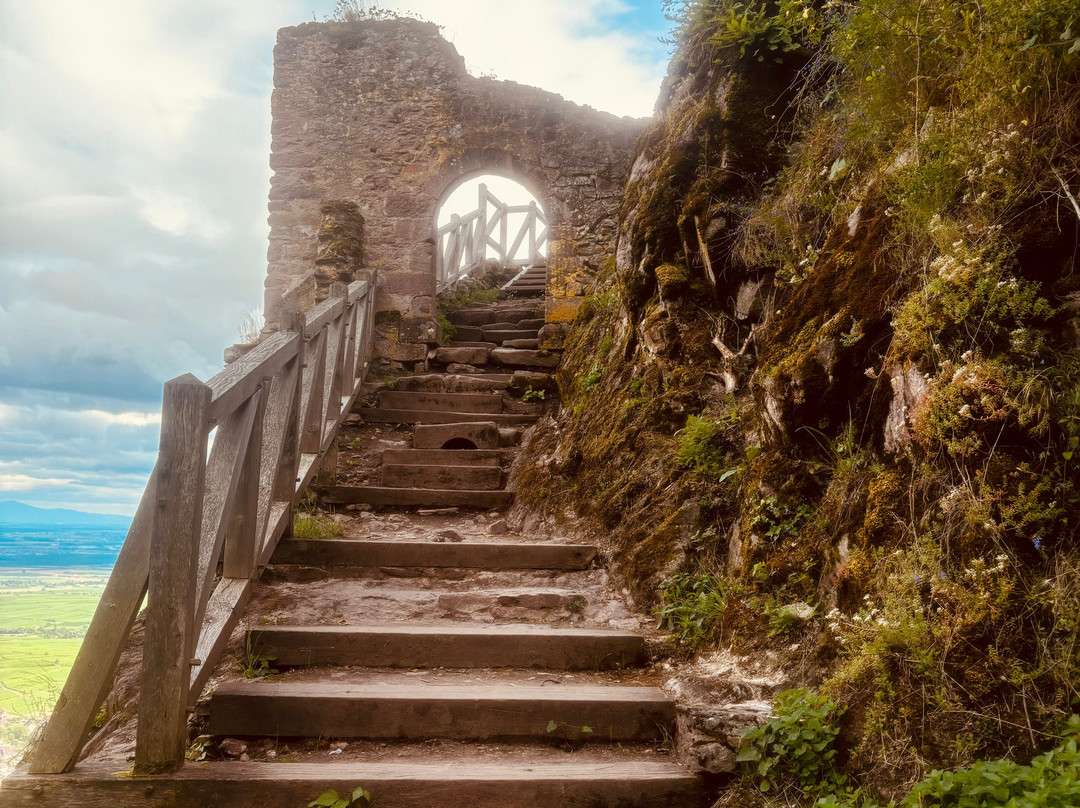 Randonnée des 3 châteaux de Ribeauvillé-里博维尔必去景点