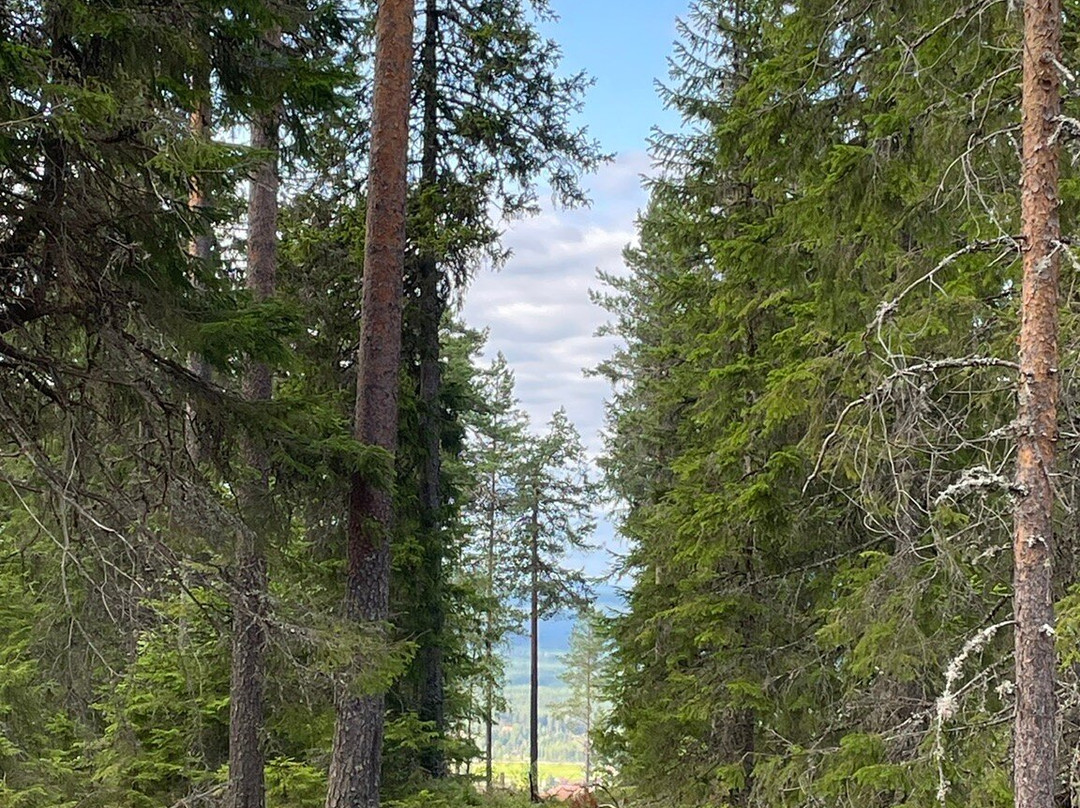 Utsiktstornet Mejdåsen-Bjorbo必去景点