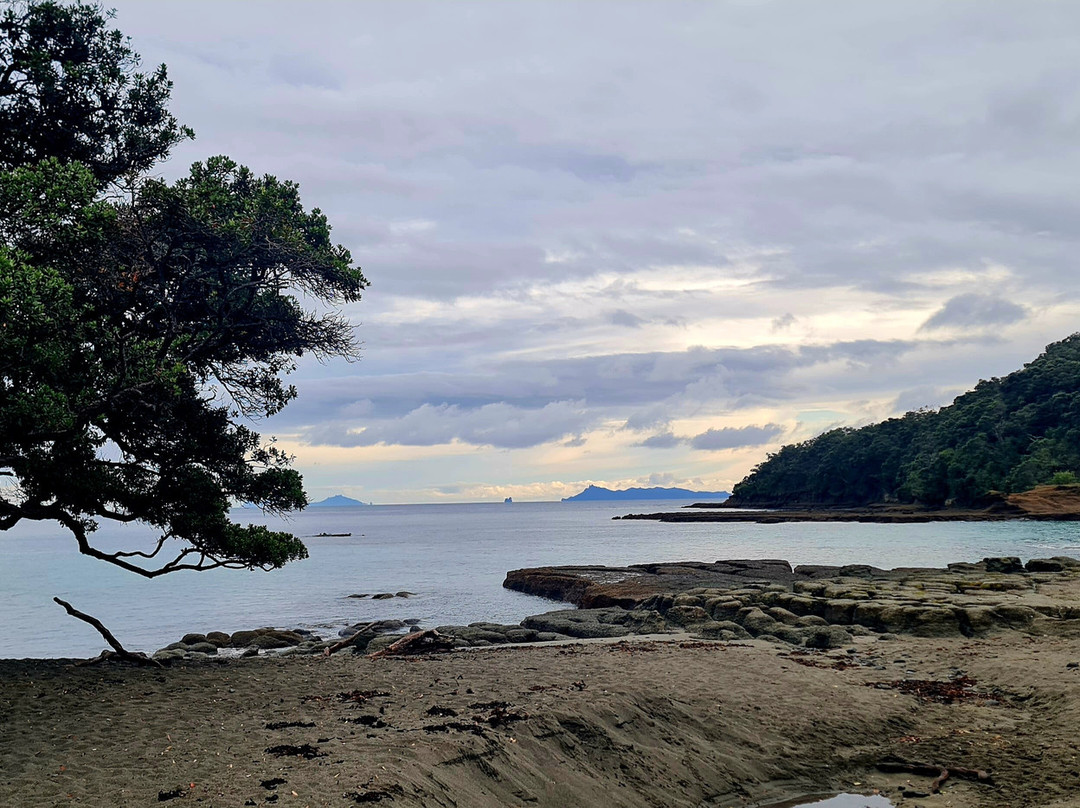 Goat Island Marine Reserve-瓦卡沃夫必去景点
