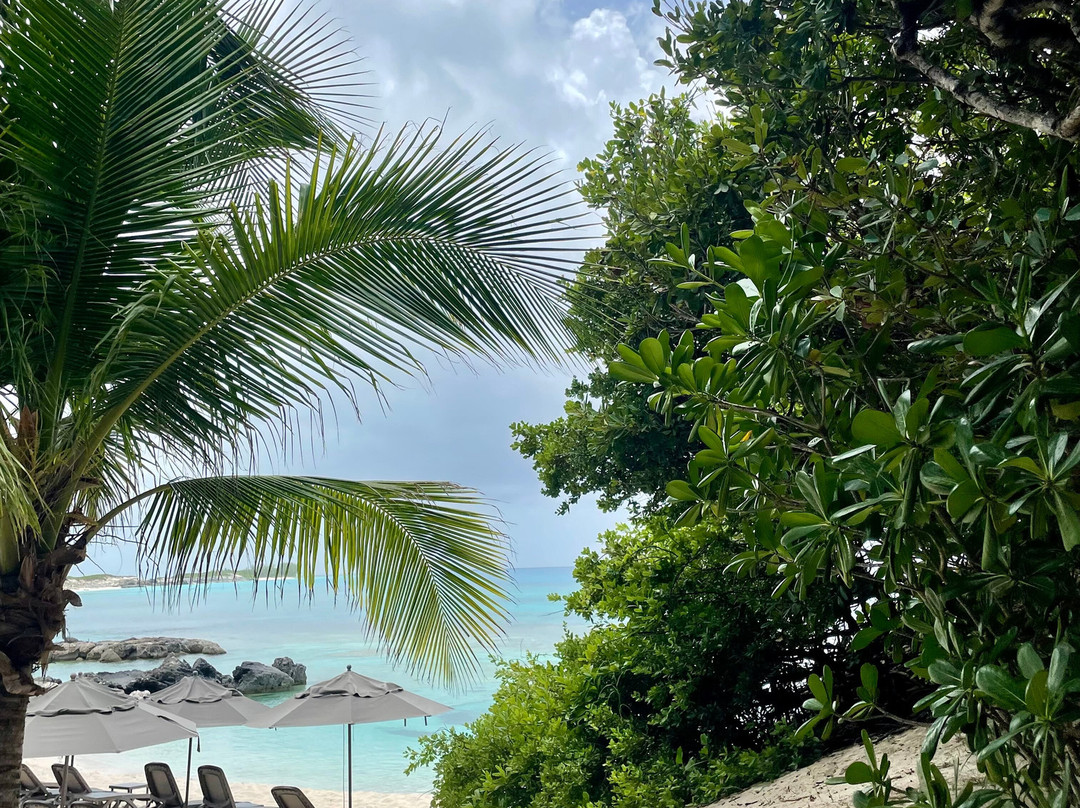 Dolphin Encounters-拿骚必去景点