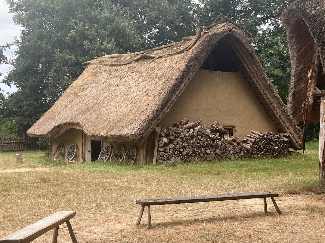 Le Village Gaulois, L'Archeosite景点图片