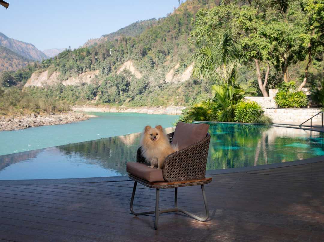 Anand Kashi by the Ganges, Rishikesh - IHCL SeleQtions主图