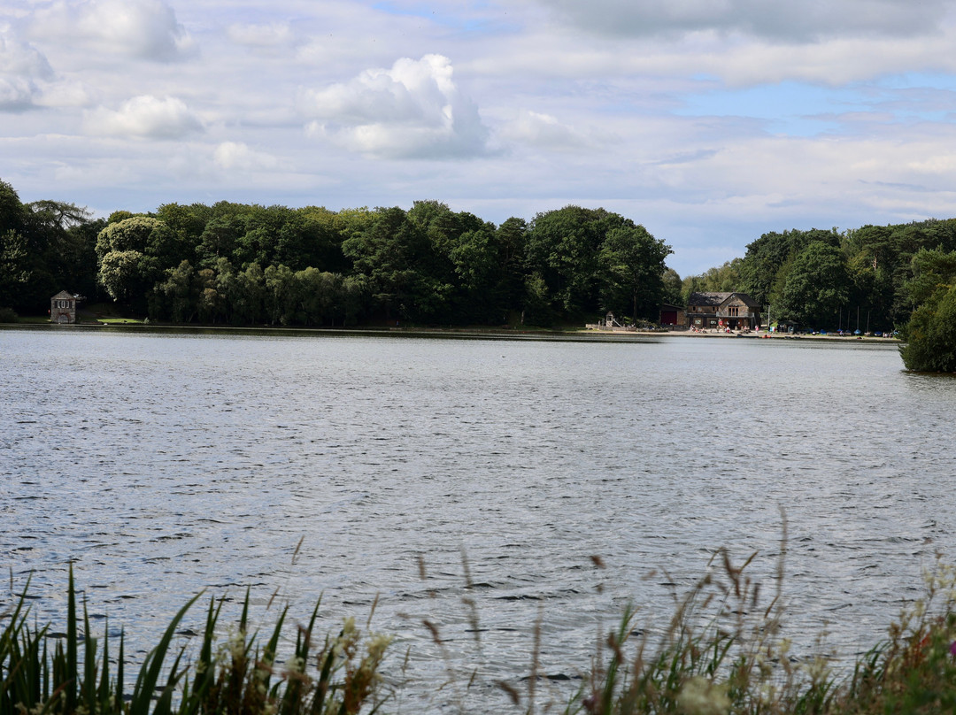 Talkin Tarn Park-卡莱尔必去景点