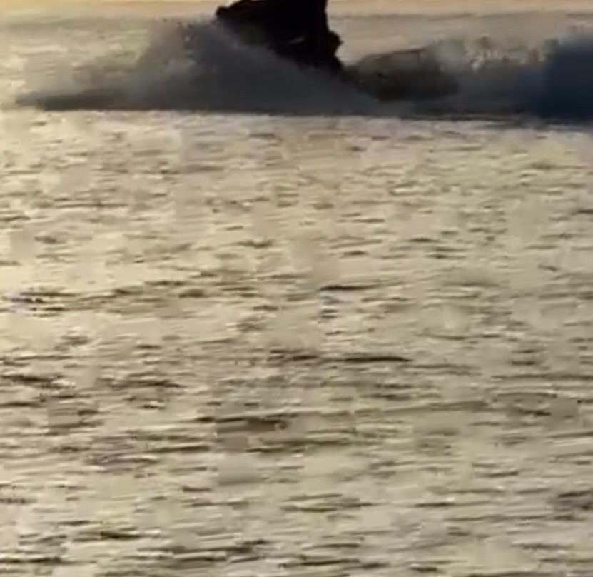 Wet Willy's Watersports-Conch Key必去景点