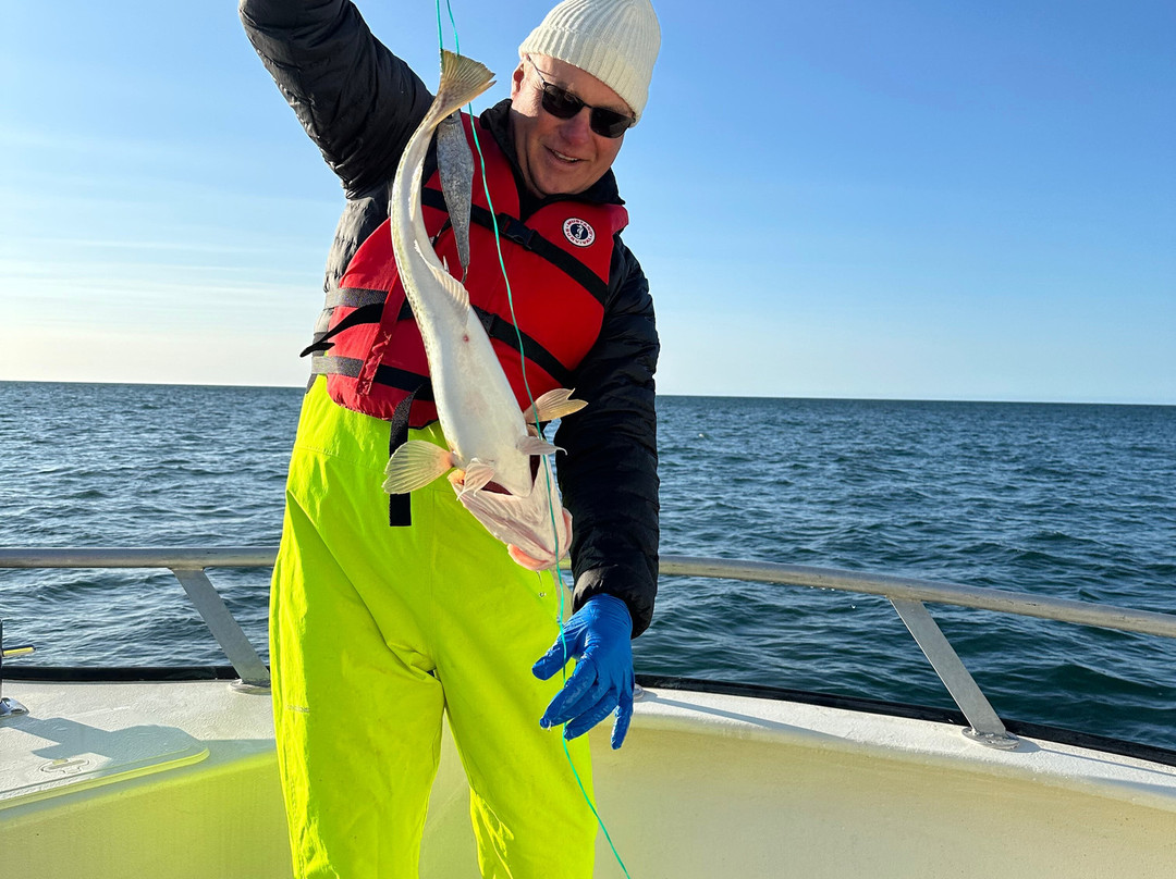 Daily Catch Ocean Tours-St Lunaire-Griquet必去景点