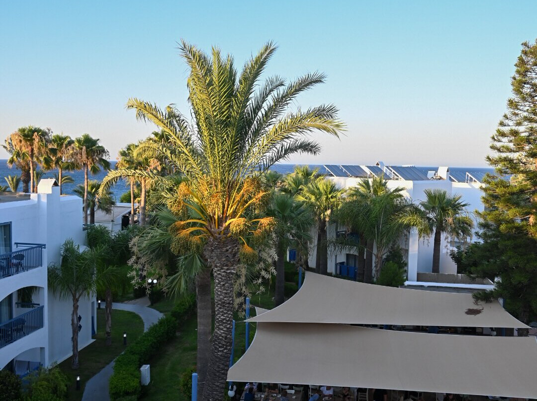 Louis Nausicaa Beach主图