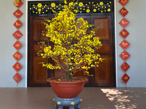 圣约瑟夫教区教堂-芽庄必去景点