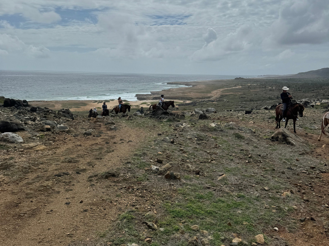 ArubaHorseTour-Paradera必去景点