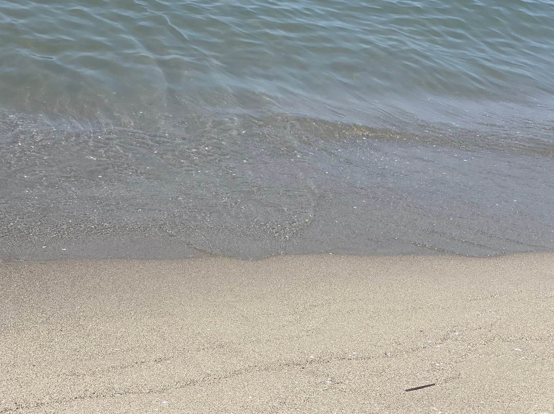 Spiaggia Della Lecciona景点图片