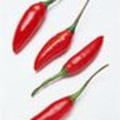 4chillis