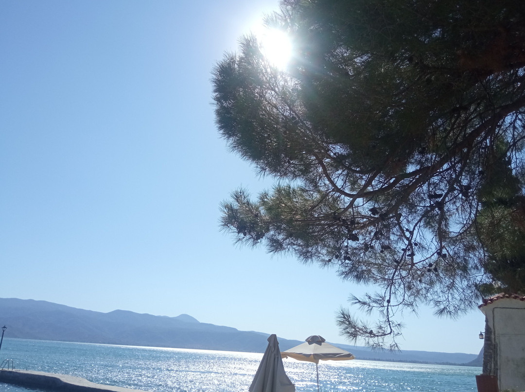 米缇莱那田园酒店主图