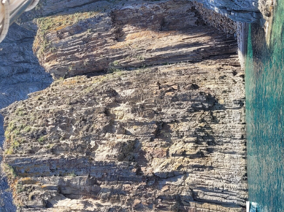 Vitaliano Feola景点图片