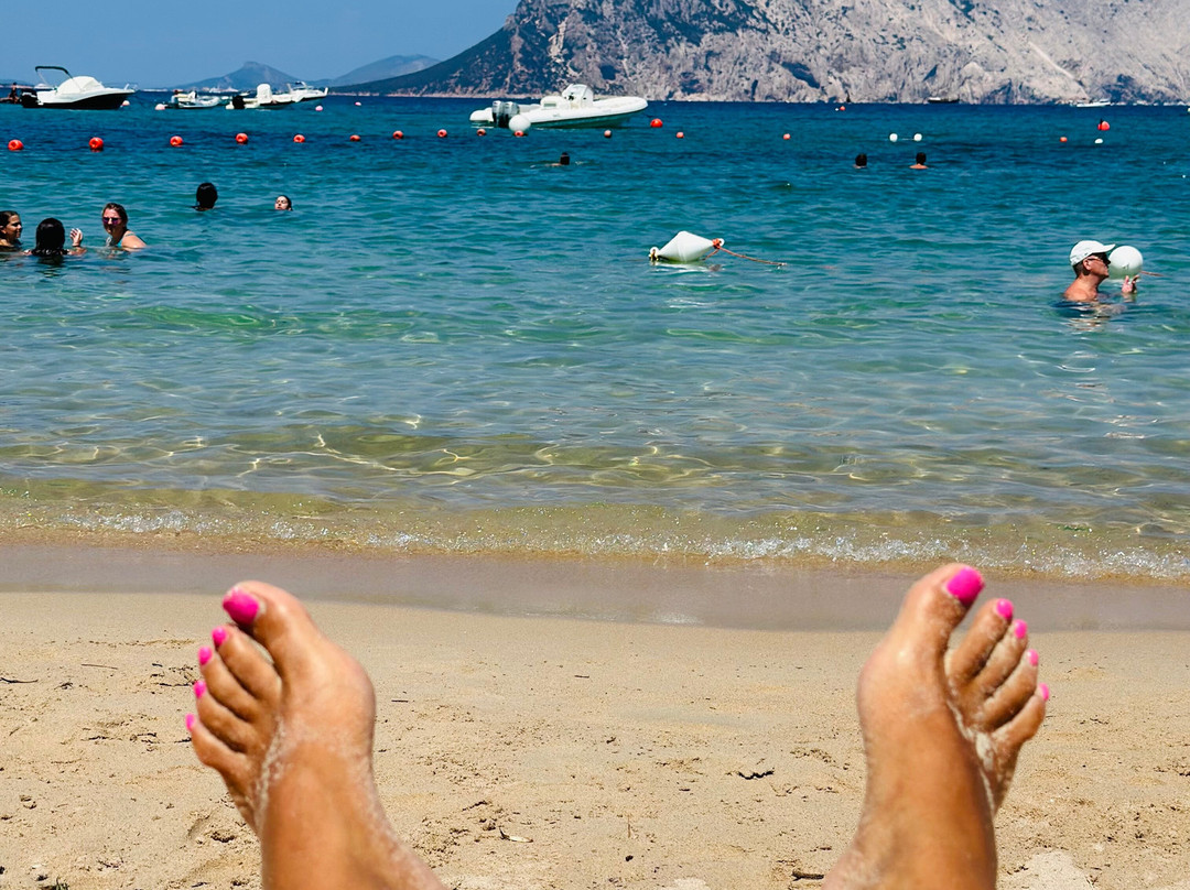 Le Farfalle - Cala Suaraccia Beach-San Teodoro必去景点
