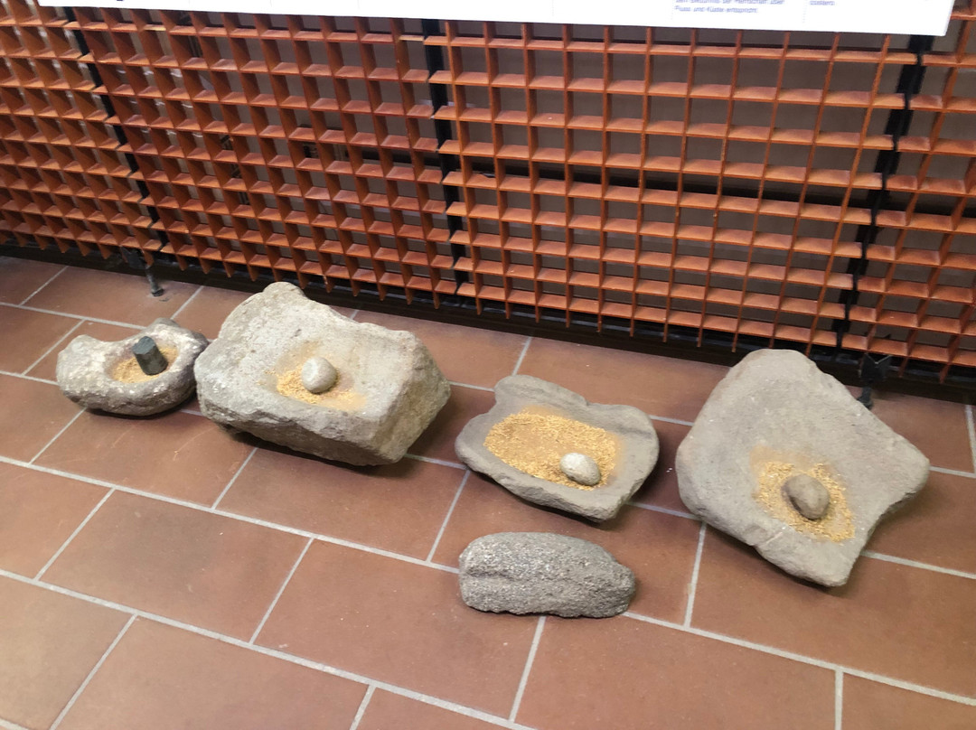 Museo Archeologico-Viddalba必去景点