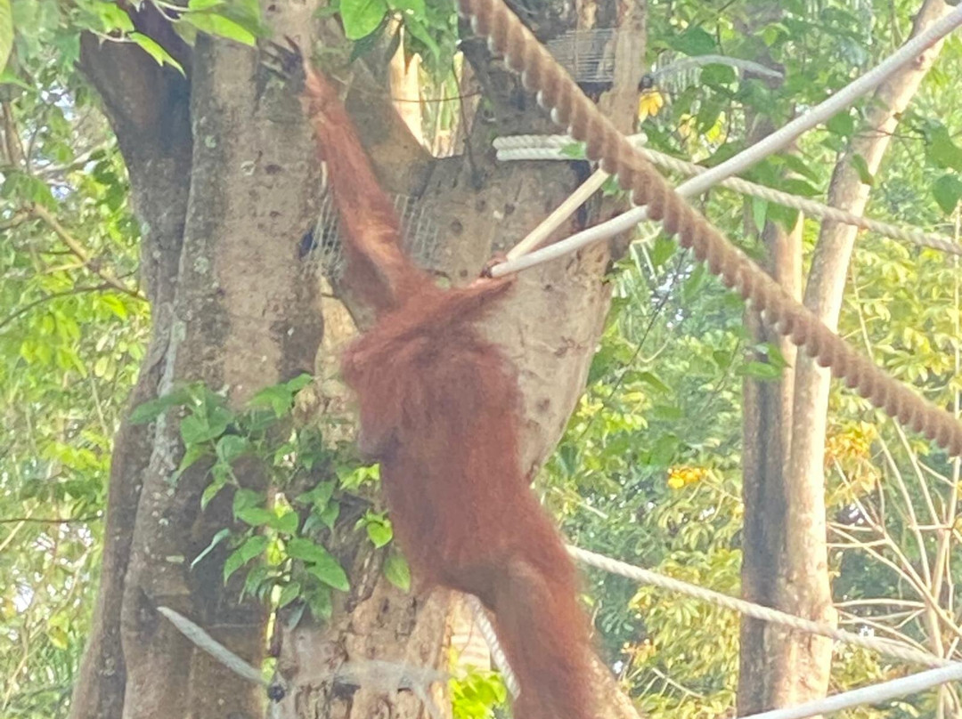 Lokha The Bali Tours-登巴萨必去景点