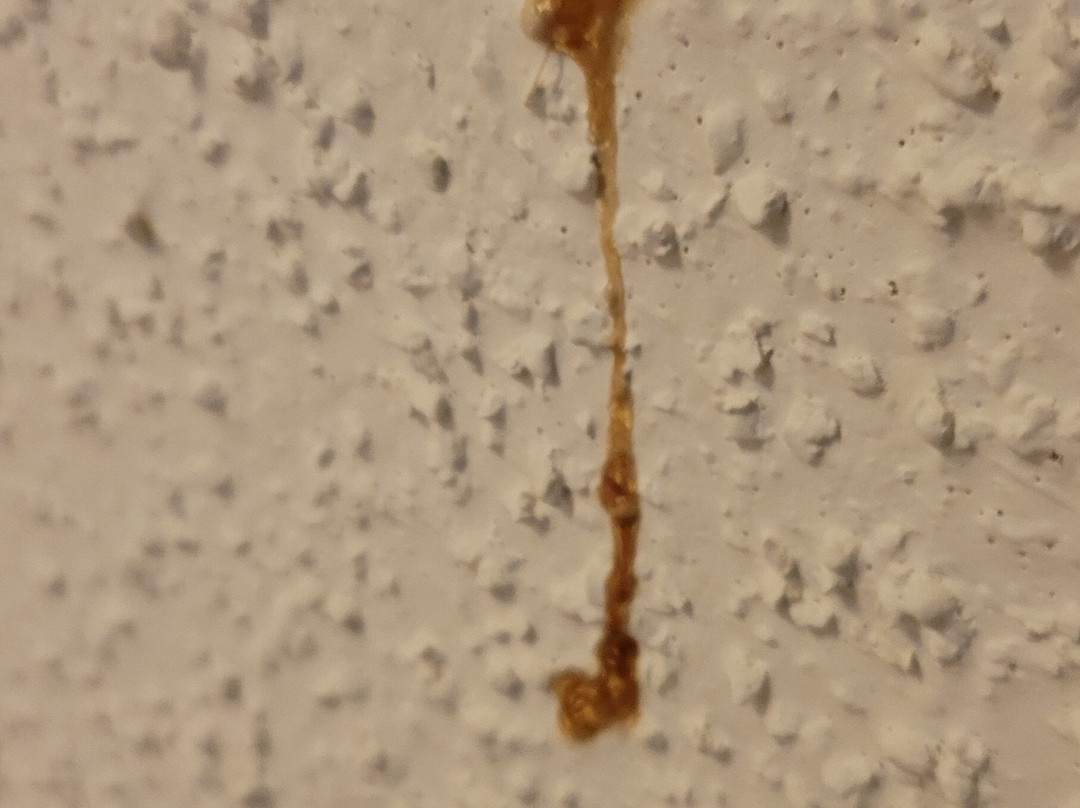 Holiday Inn Express Bloomington West By IHG主图