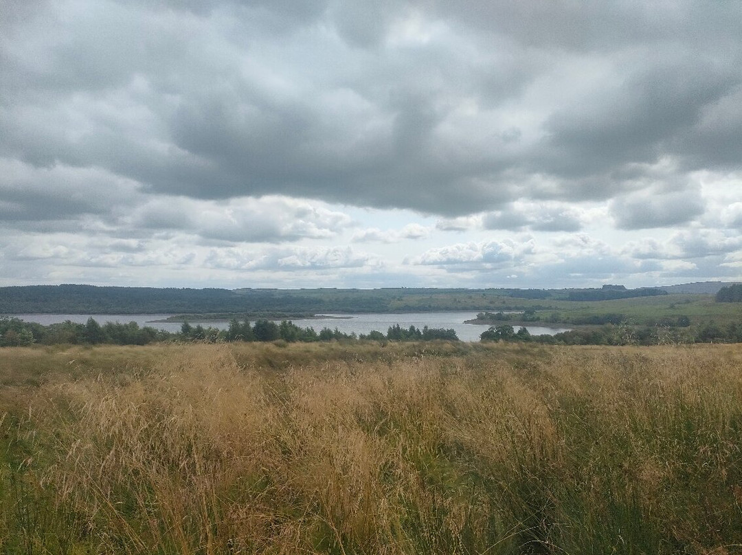 Gisburn Forest And Stocks景点图片