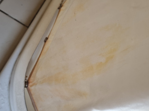 Orchidea 酒店主图