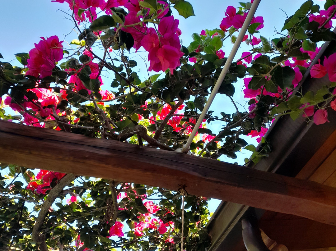 B&B Casale Pietrantica Tropea主图