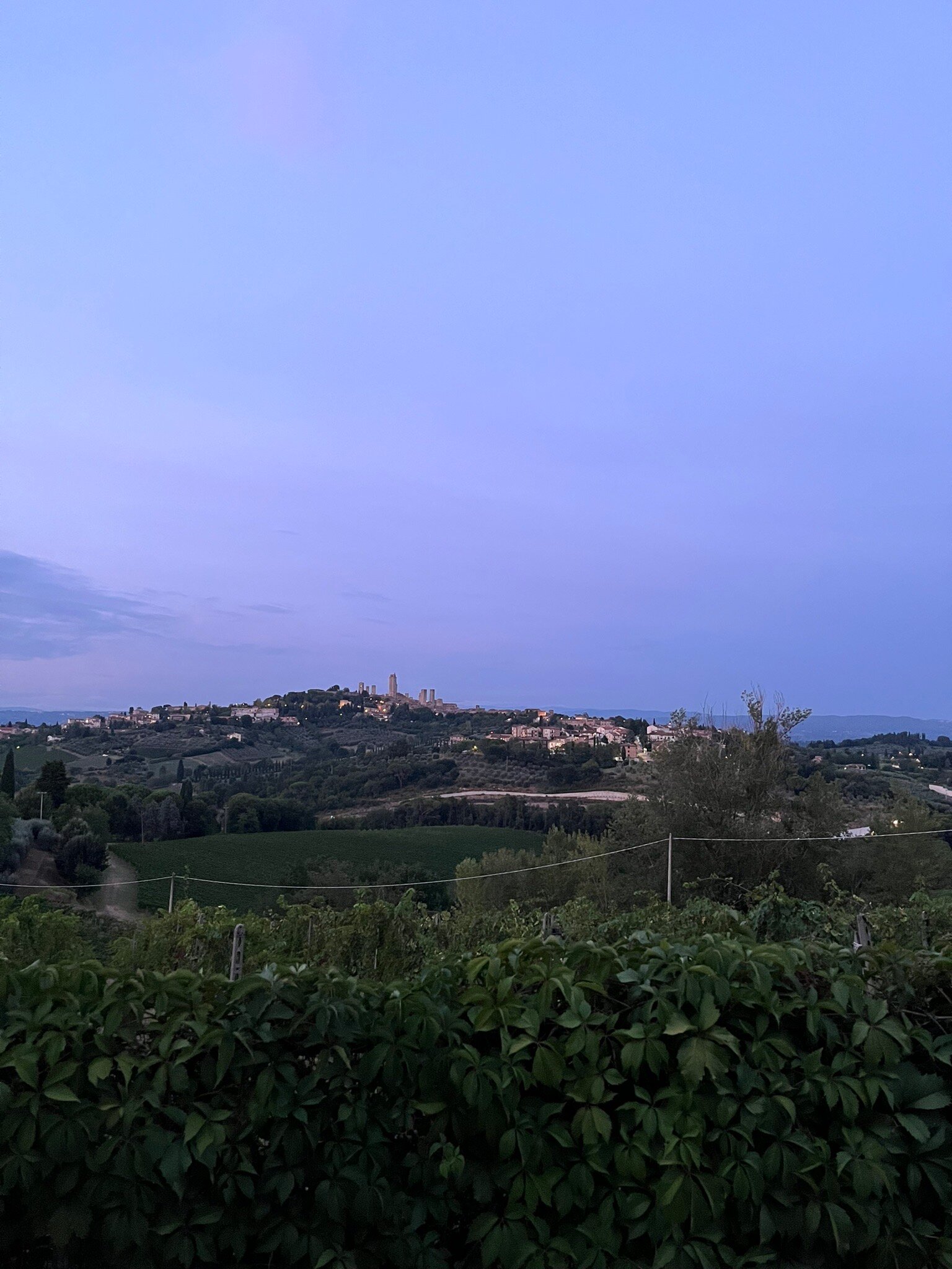 Podere Sant'Elena-官方