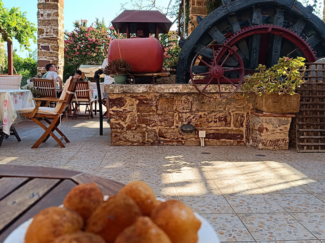 Mouzaliko Traditional Hotel主图