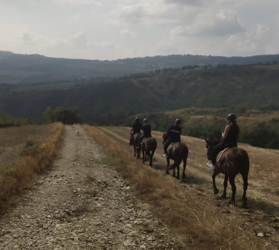 Bardigiani del San Bartolo Turismo equestre-San Leo必去景点