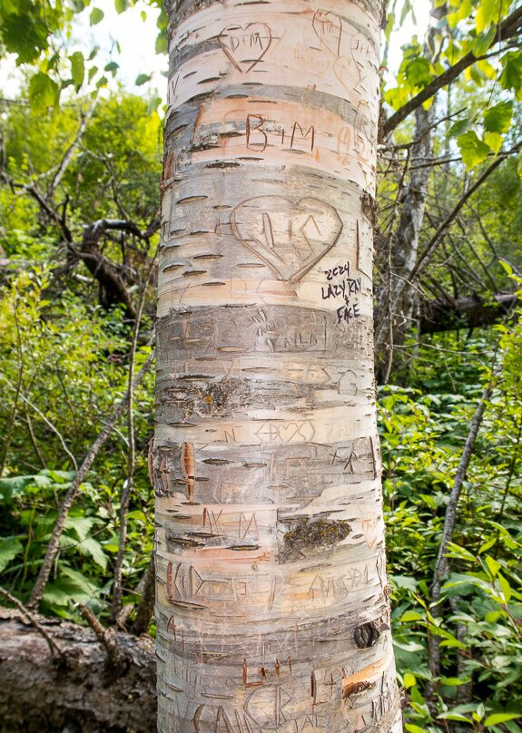 Roughlock Falls Nature Area-Savoy必去景点