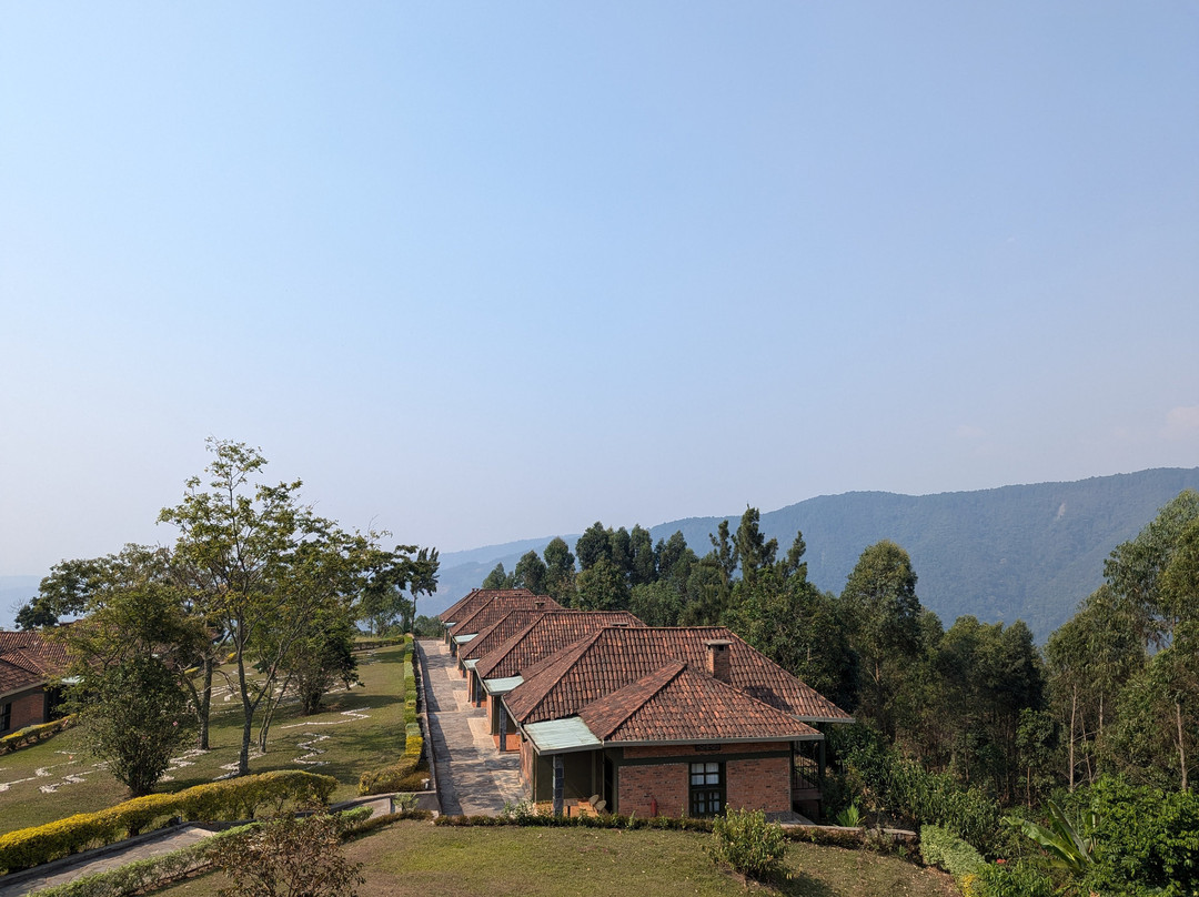 Nyungwe Hotel主图