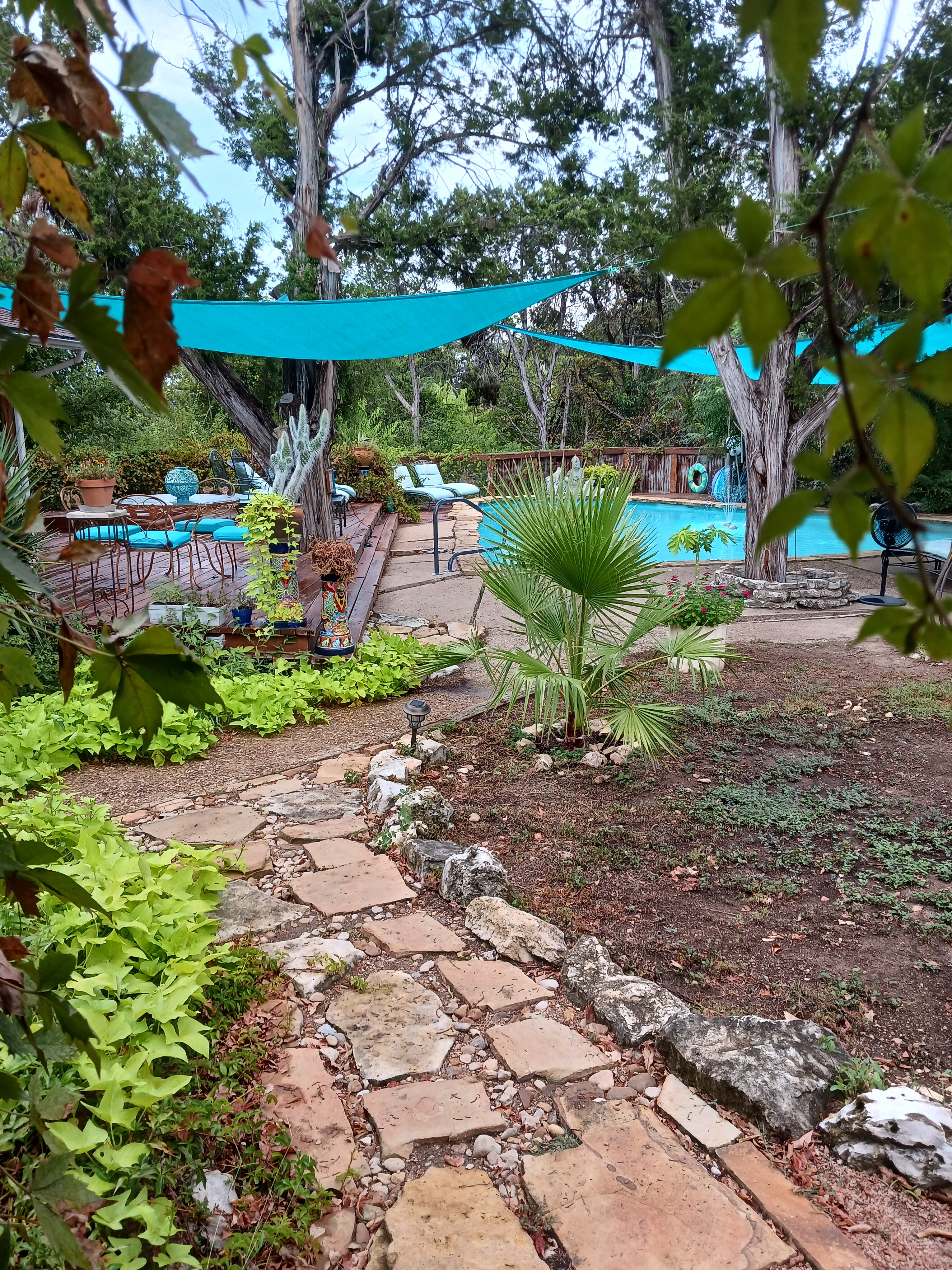 Casa del Sol Bed and Breakfast at Lake Travis-酒店景观