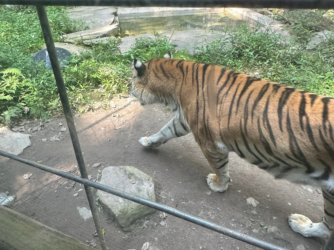 Claws 'N' Paws景点图片