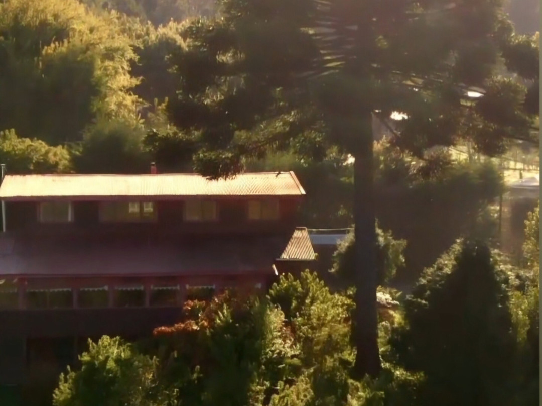 Lago Lanalhue-Contulmo必去景点