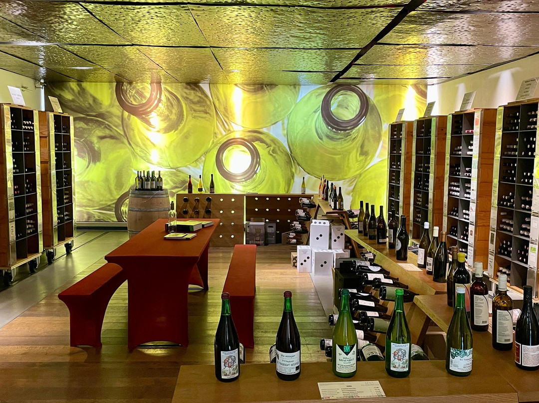 Weinkulturhaus - Vinothek-Gols必去景点