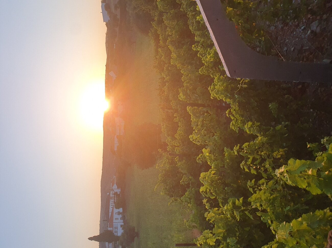 Casa dos Primos主图