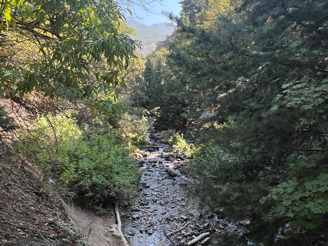 Waterfall Canyon Trail-奥格登必去景点