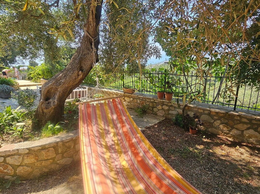 Mihalis Apartments主图