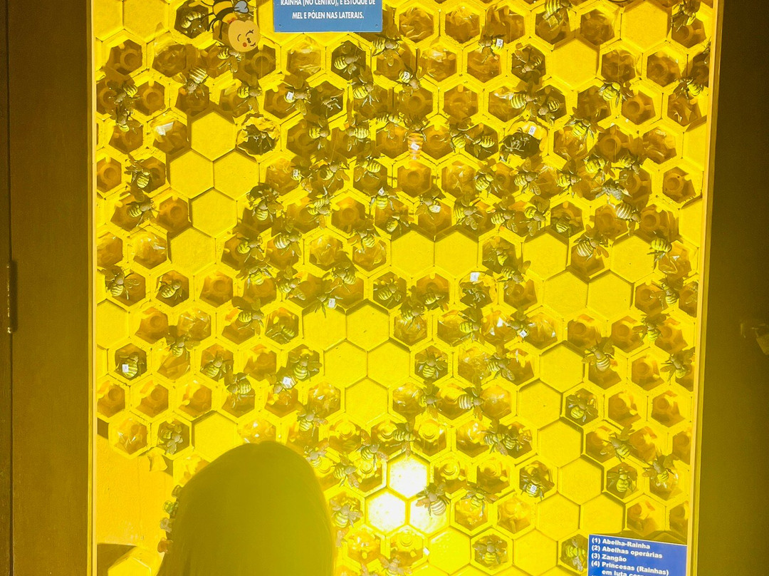 Cidade das Abelhas-Cotia必去景点
