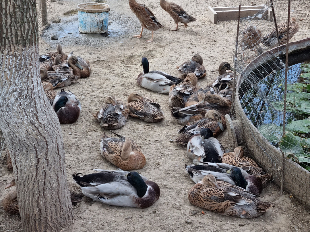 ZooClub-Bardar必去景点