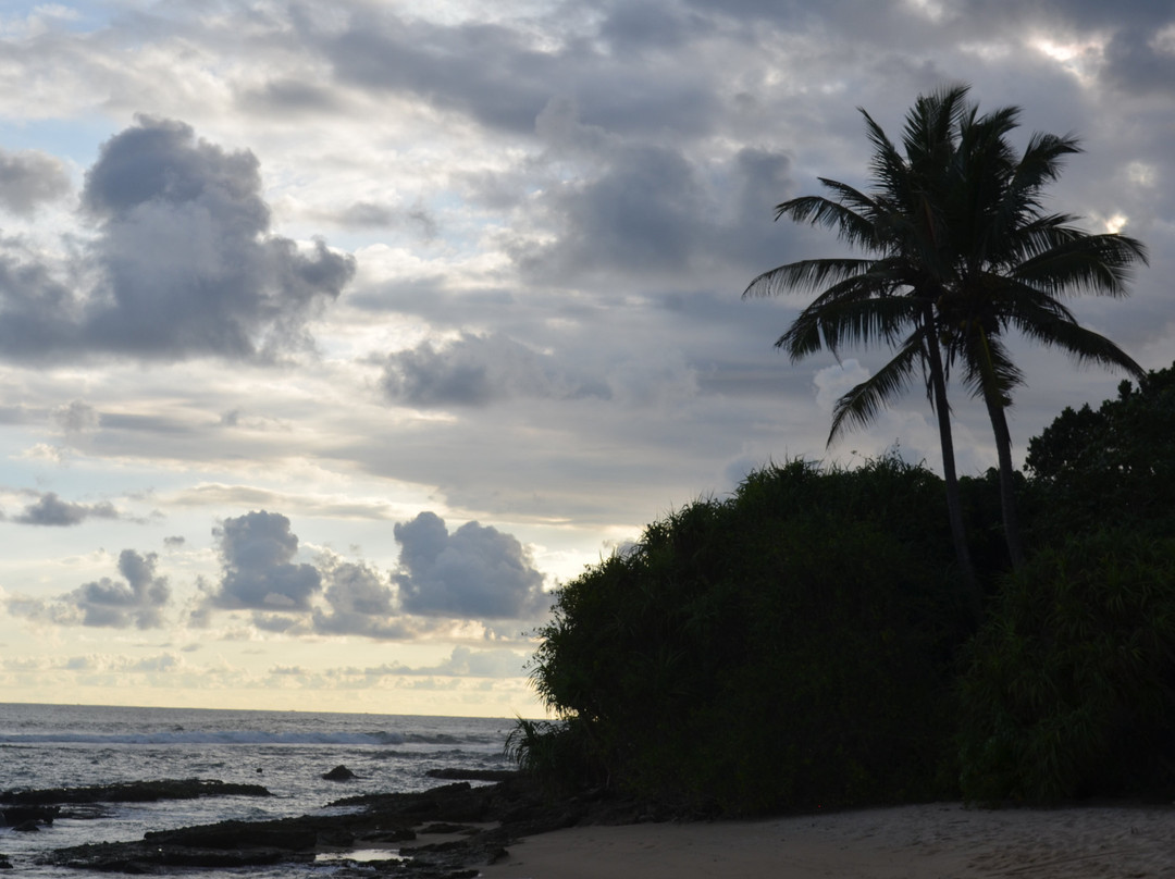 Parrot Rock-美蕊沙必去景点